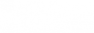 Ingenieuris GmbH Logo